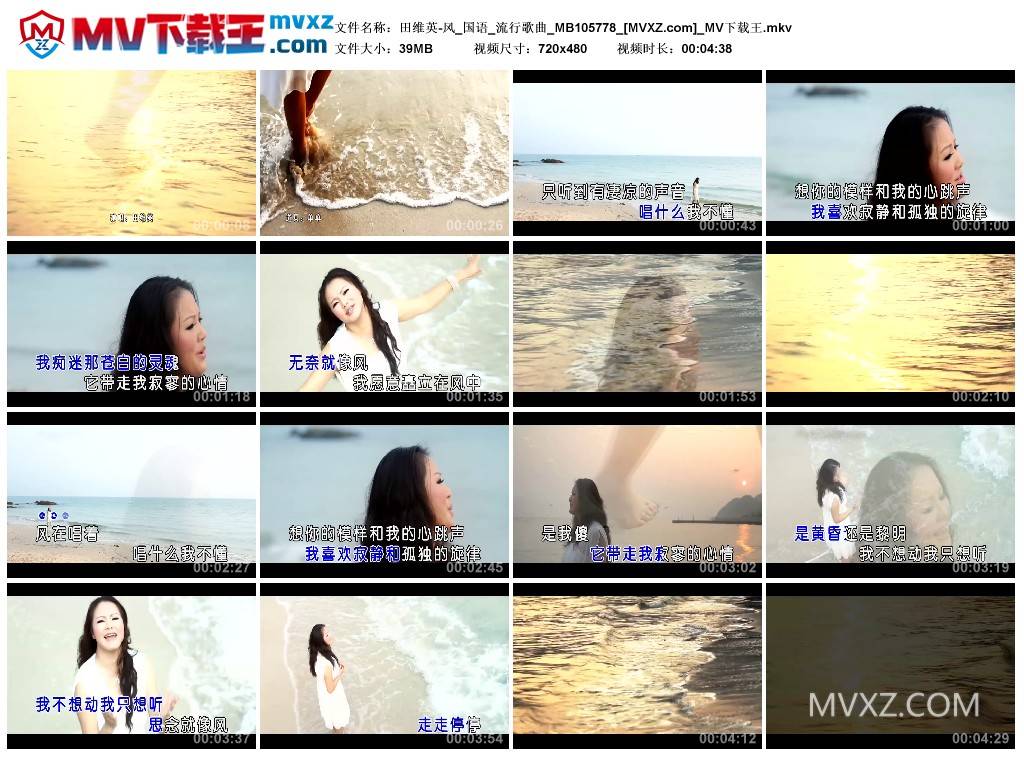 田维英-风_国语_流行歌曲_MB105778